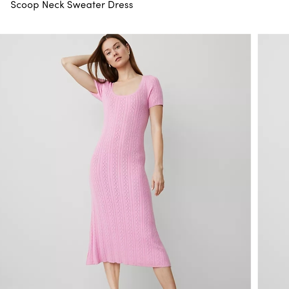 Ann Taylor Pink Scoop Neck Sweater Dress